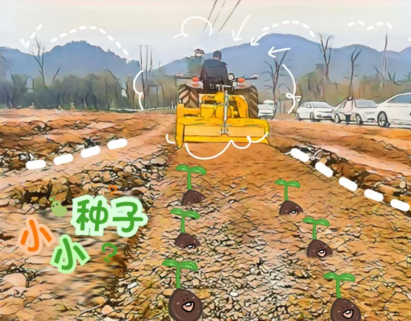 whatsapp_whatsapp下载_whatsapp官网