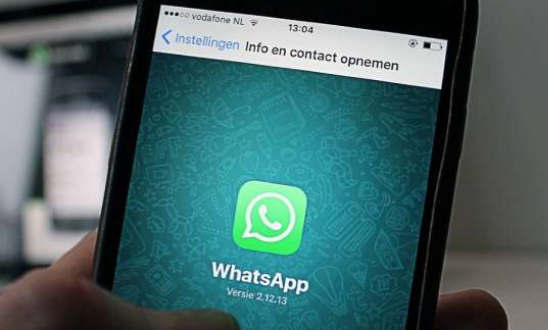 whatsapp国内正版下载_whatsapp中文版_whatsapp官方中文正版