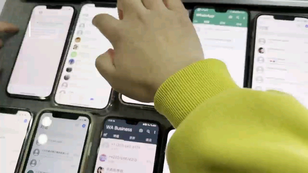whatsapp官网下载_官网whatsapp下载安装_whatsapp官网版载