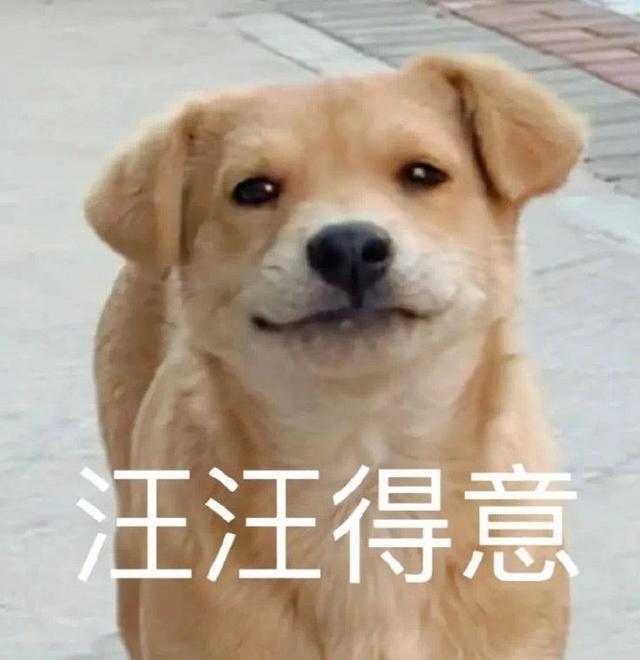 使用的英文_使用灭火器对准火焰的什么部位_whatsapp怎么使用？