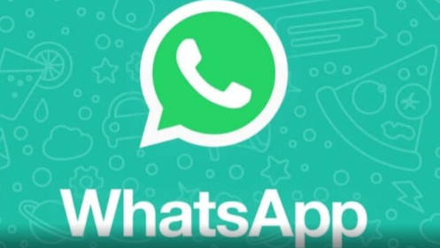 安卓版WhatsApp_安卓版whatsapp下载_whatsapp安卓版
