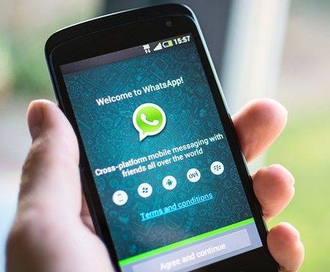 whatsapp安卓版_安卓版whatsapp下载_whatsapp安卓版