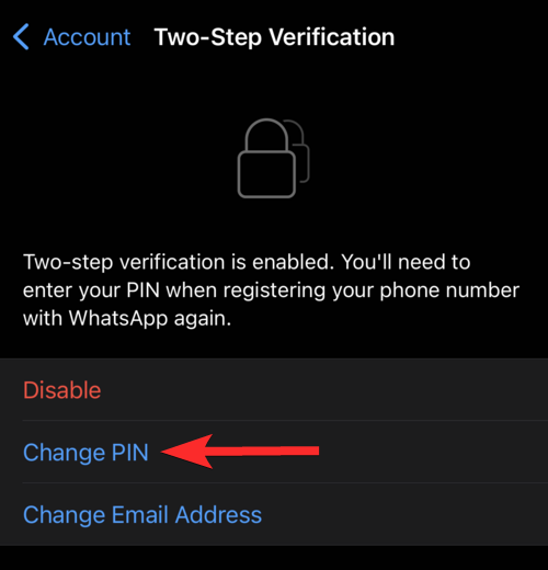 whatsapp怎么使用？_使用兴奋剂可能造成什么后果_使用伪造变造机动车号牌扣几分