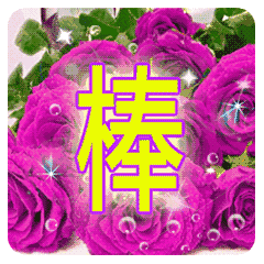 whatsapp最新版_whatsapp最新版_最新版whatsapp安卓版