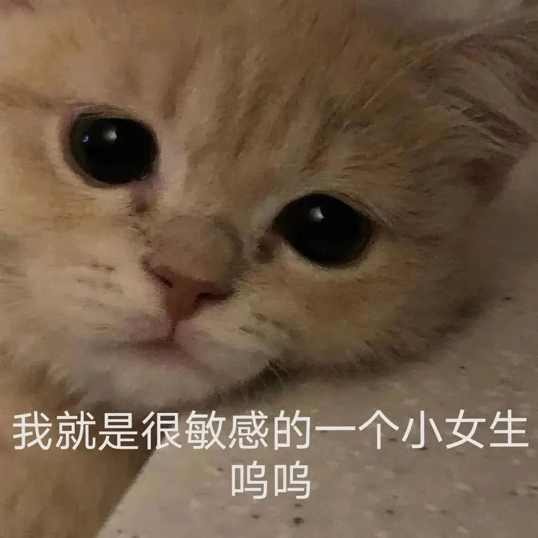 whatsapp官方最新版下载_whatsapp官方最新版下载_whatsapp官方最新版下载