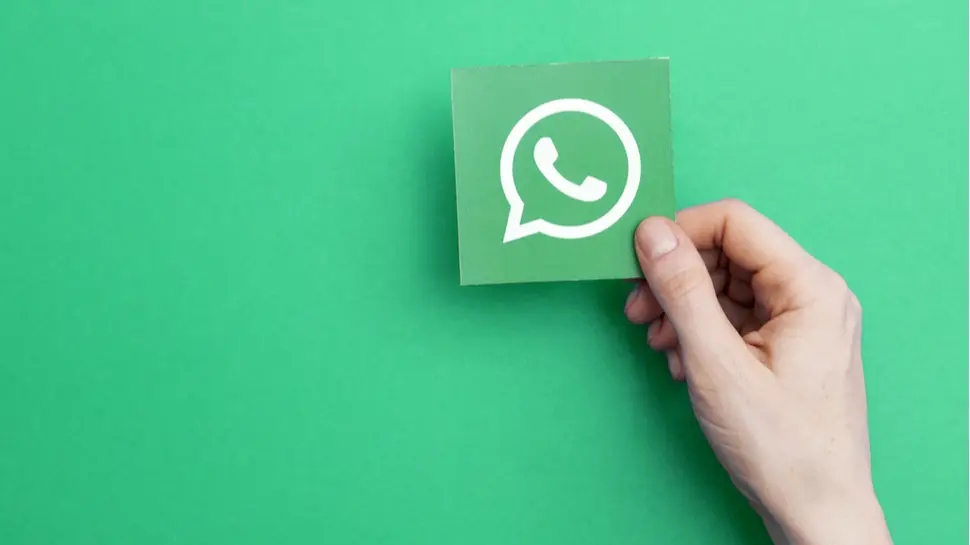 whatsapp中文手机版_中文版手机SDR软件_中文版手机电子琴安装