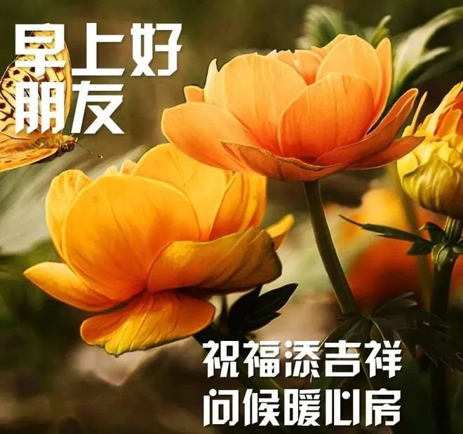 whatsapp官网_whatsapp下载_whatsapp