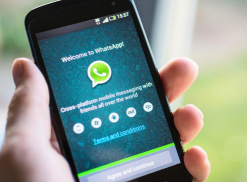 公司是我家_whatsapp是那个公司_公司是企业吗