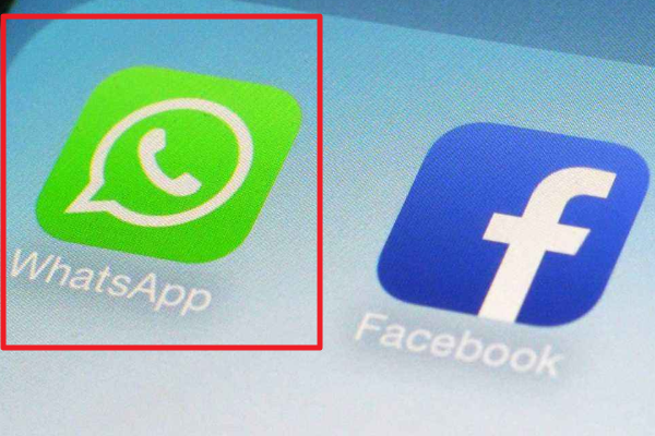 下载手机管家_whatsapp怎么下载手机_下载手机罗盘
