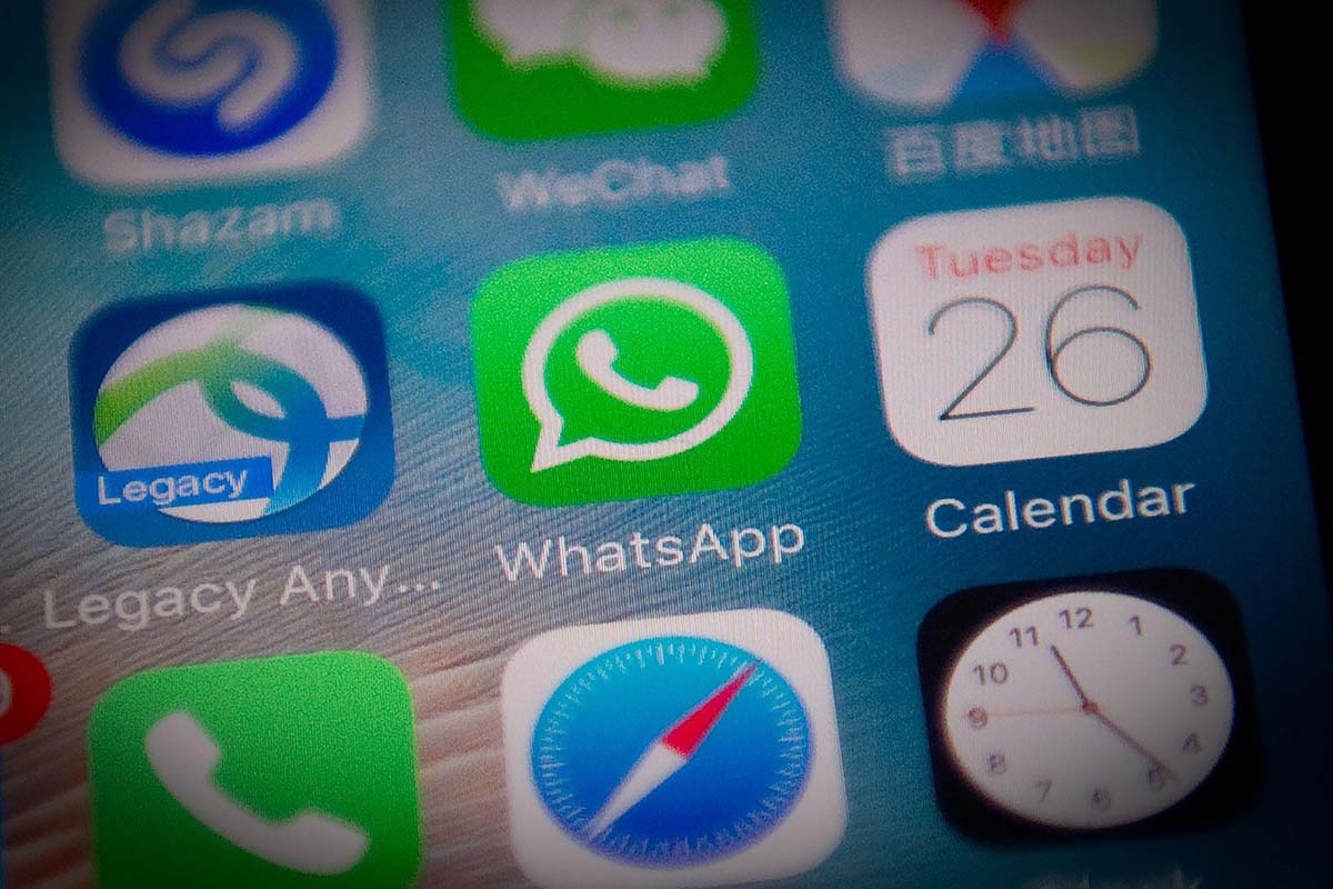 安卓版whatsapp下载_whatsapp安卓版_whatsapp安卓版