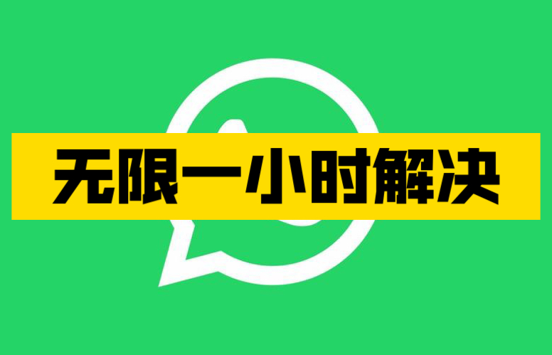 whatsapp官方手机版-WhatsApp 官方手机版：简