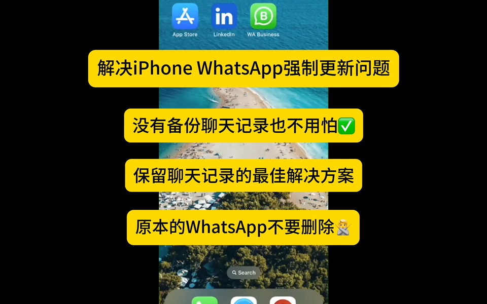 whatsapp官网版载-WhatsApp 官网版下载：简洁