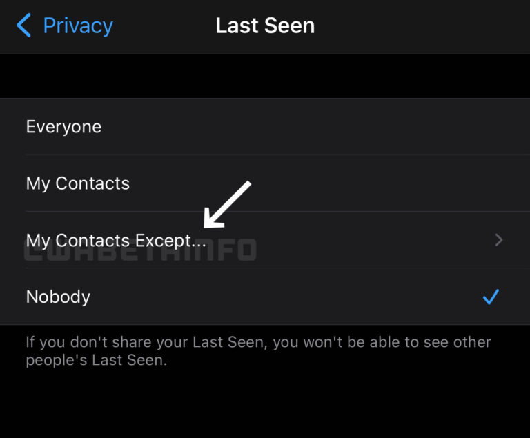 whatsapp官网最新版本_whatsapp官网下载_whatsapp官网版载