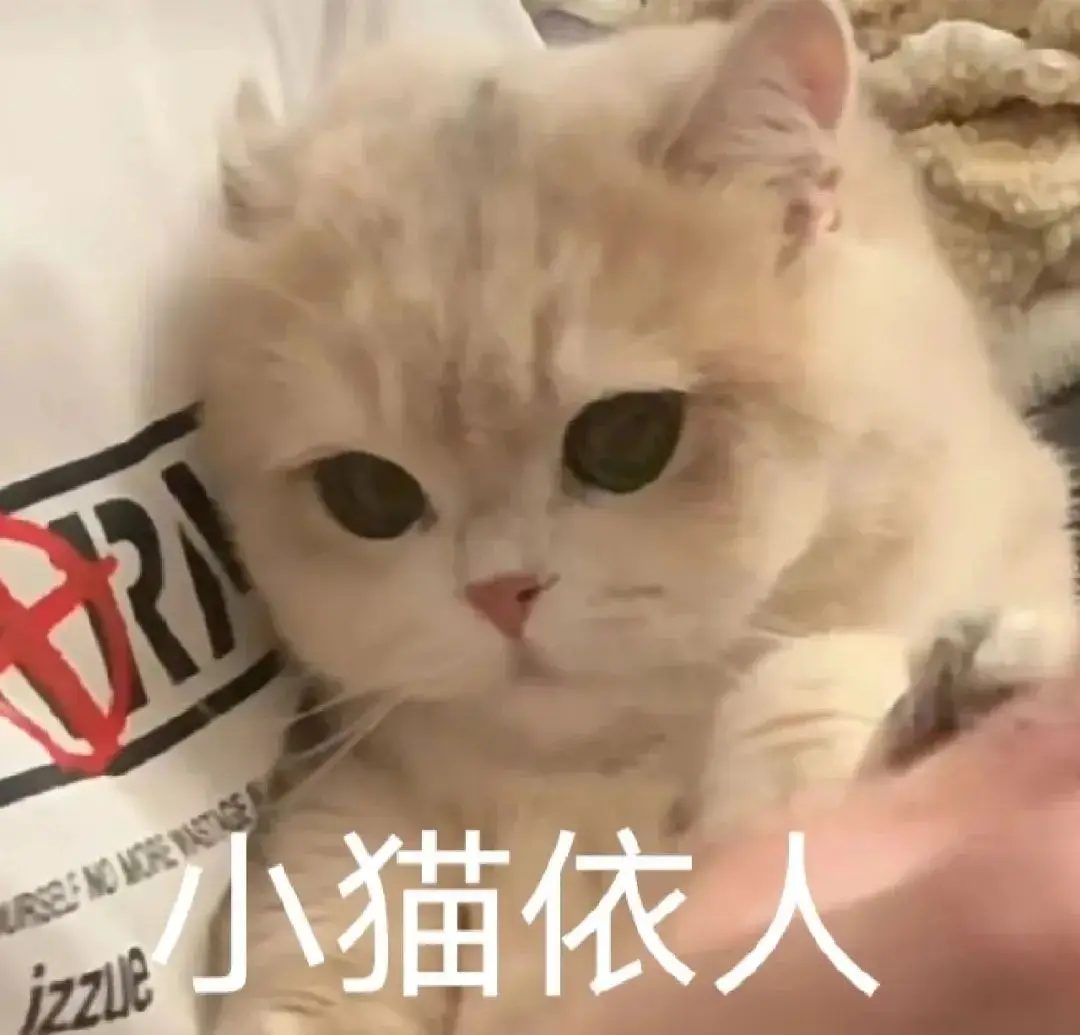 whatsapp安卓版_whatsapp安卓版_安卓版whatsapp下载