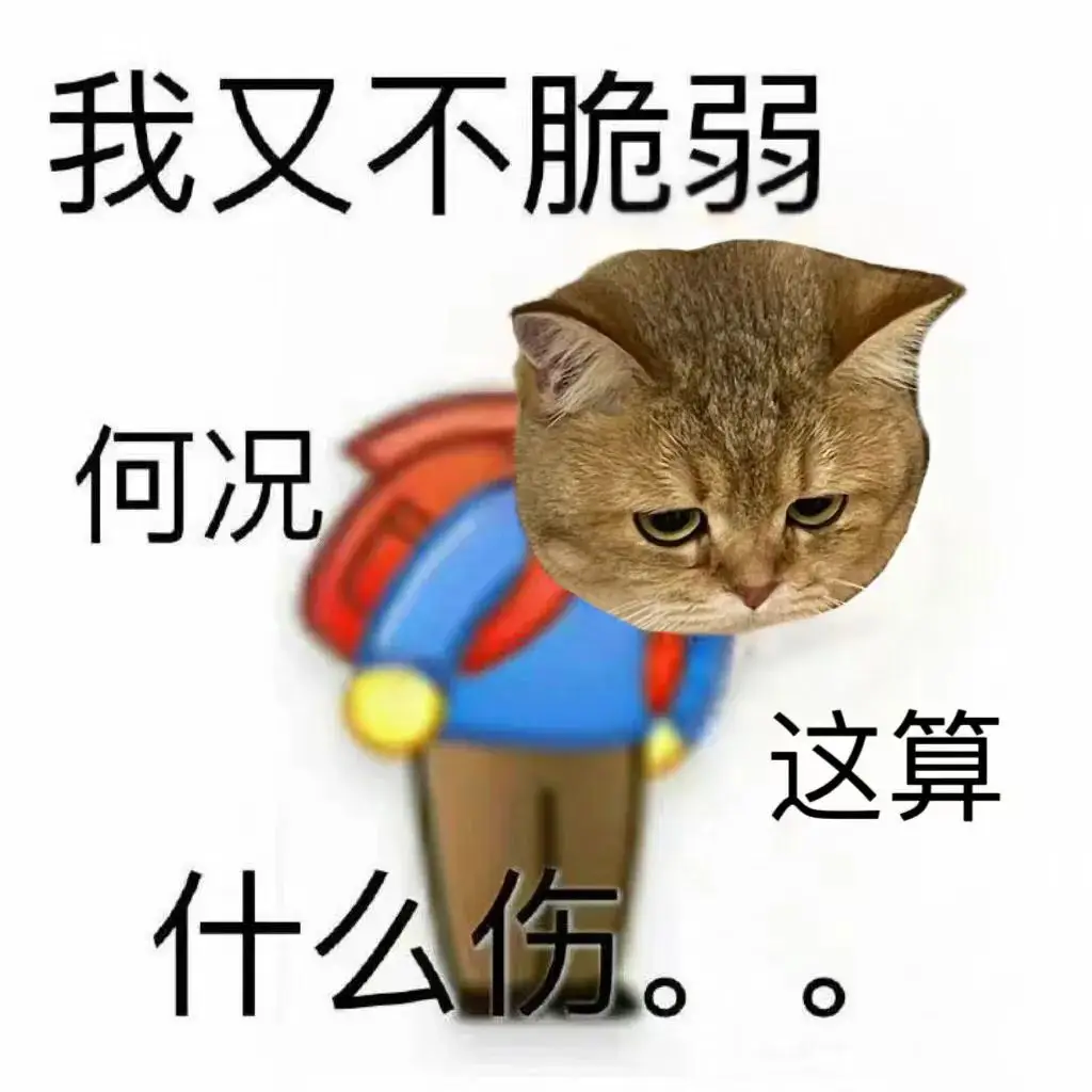 whatsapp安卓版_安卓版whatsapp下载_whatsapp安卓版