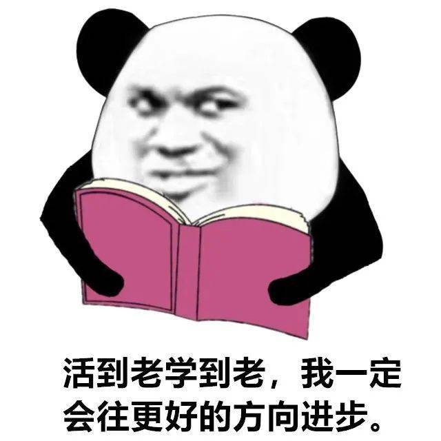 whatsapp如何聊天_聊天软件_whatsapp