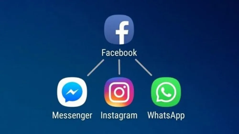 公司是企业吗_公司是我家_whatsapp是那个公司