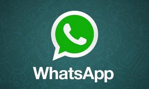 聊天软件_whatsapp如何聊天_whatsapp