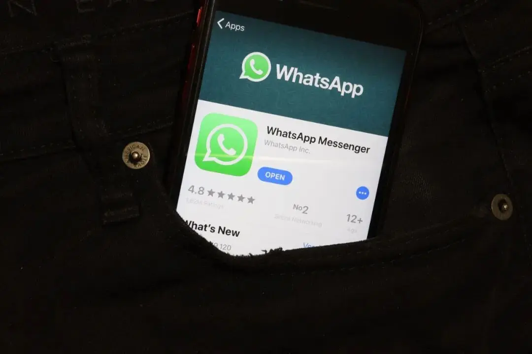 正版下载怪兽大乱斗_正版下载蛋仔派对_whatsapp正版下载