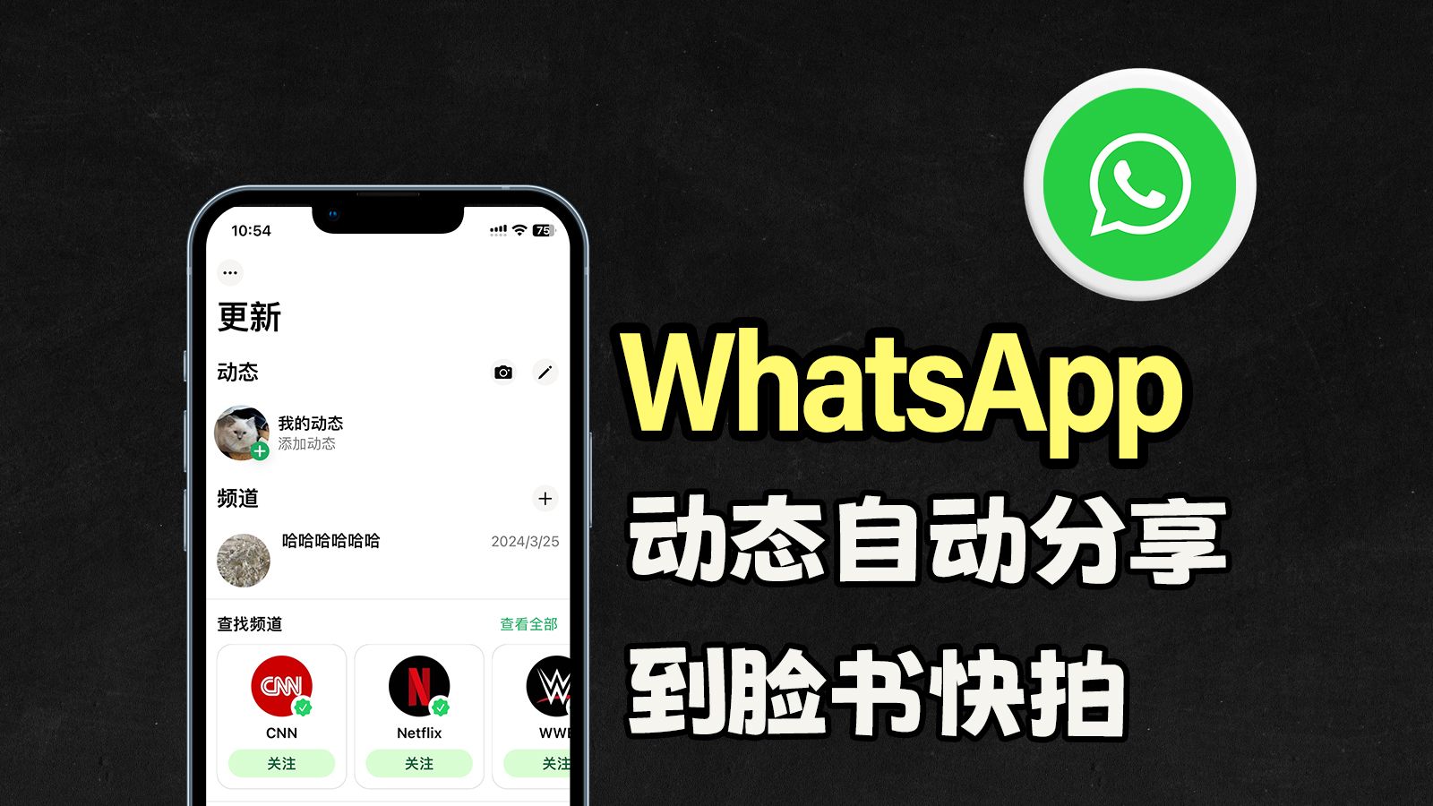 whatsapp官方手机版-WhatsApp 官方手机版：通