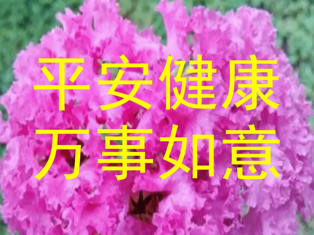 动态图片下载后怎么就不动了呢_whatsapp动态图片下载_动态图片下载有风险吗安全吗