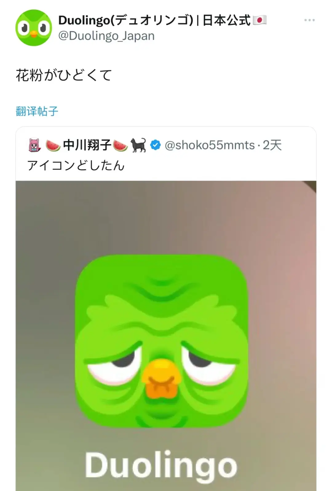 whatsapp中文最新版-WhatsApp 中文最新版：界