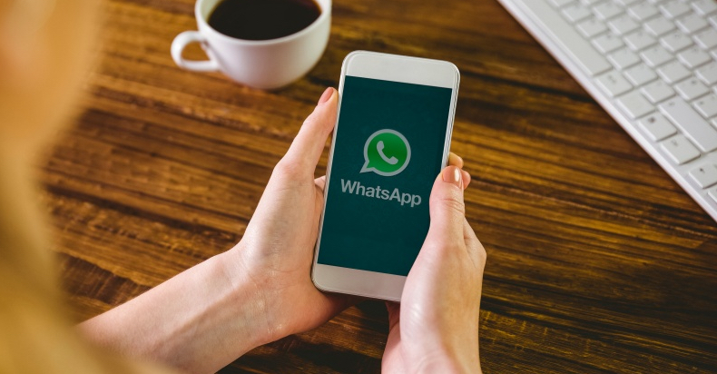 正版下载蛋仔派对_正版下载233乐园_whatsapp正版下载