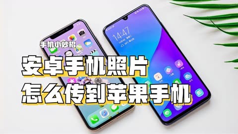 whatsapp怎么下载安卓-安卓手机下载 WhatsApp