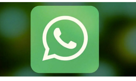 whatsapp安卓下载_安卓下载whatsapp方法_安卓下载whatsapp教程
