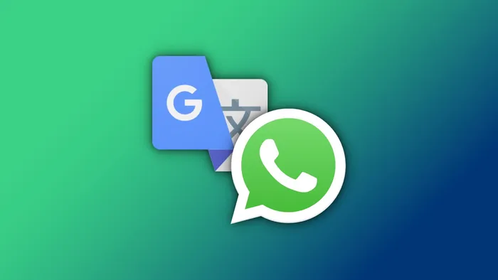 whatsapp中文手机版-WhatsApp 中文手机版：通