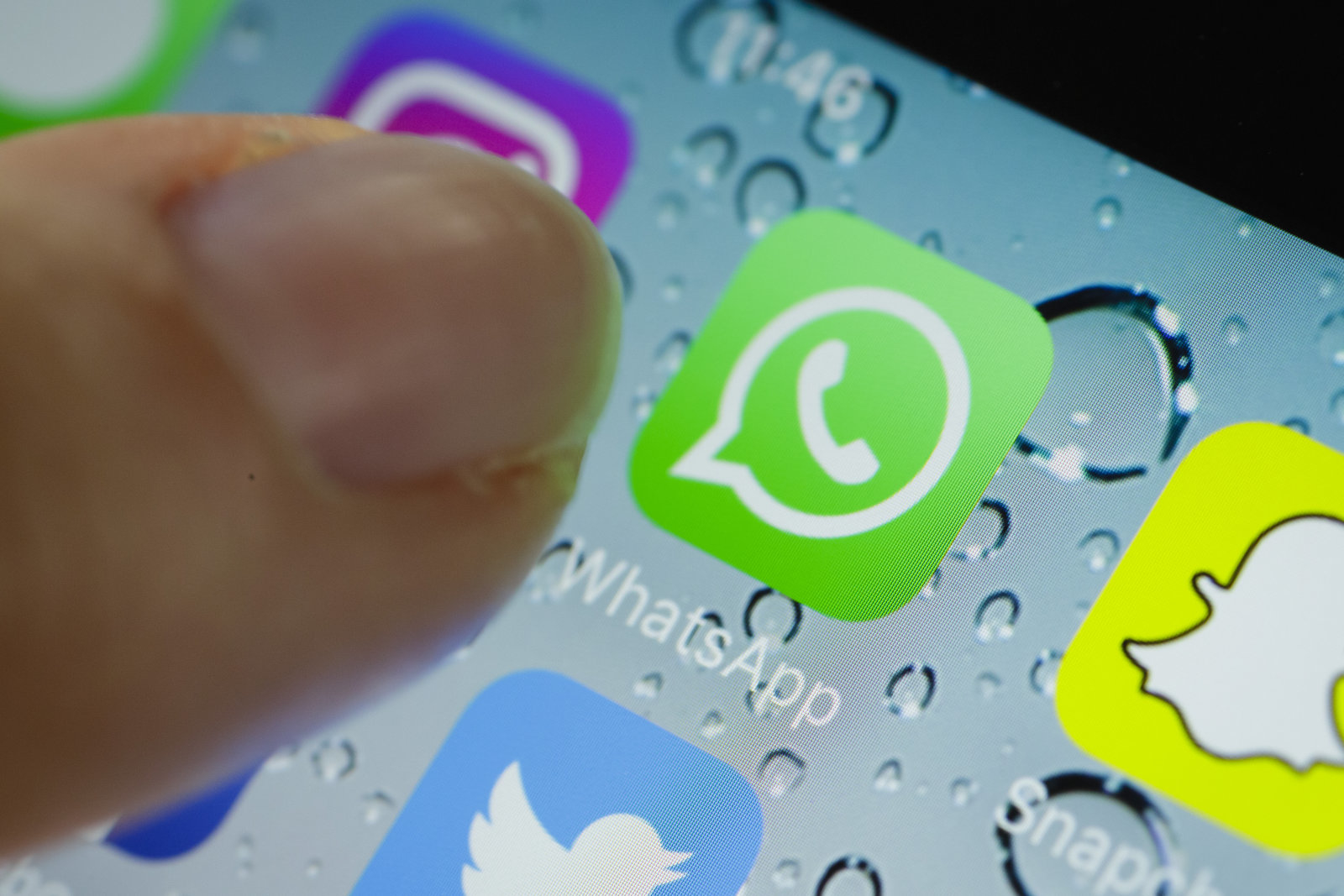 安卓版WhatsApp_whatsapp安卓版_安卓版whatsapp下载