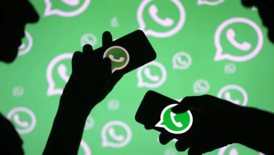 whatsapp安卓版_安卓版WhatsApp_安卓版whatsapp下载