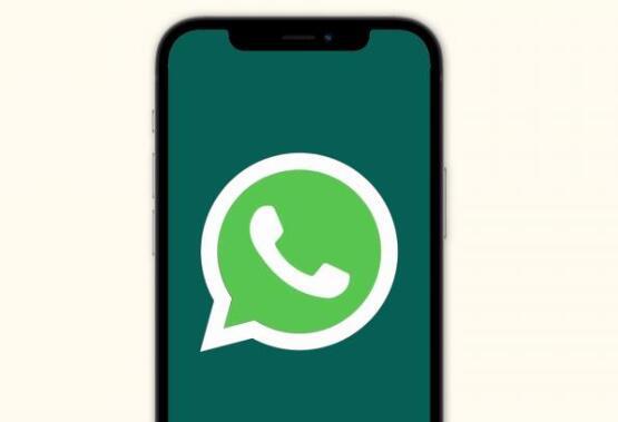 正版官方的浙江风采网_正版官方微信下载安装_whatsapp官方正版