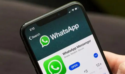 whatsapp怎么下载官网-WhatsApp 官网下载指南