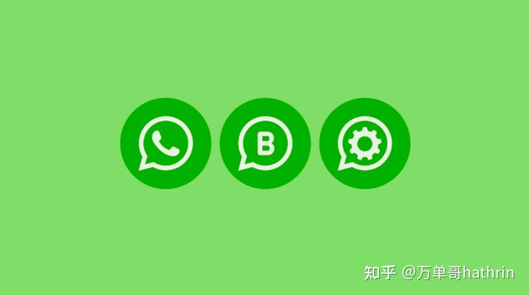 公司是我家_whatsapp是那个公司_公司是企业吗