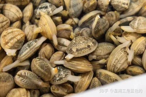 切换中文快捷键ctrl加什么_切换中文也打不出书名号_whatsapp怎么切换中文