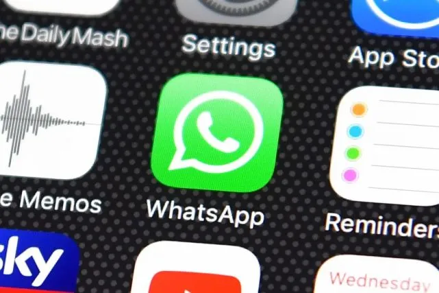 公司是什么意思_whatsapp是那个公司_公司是我家