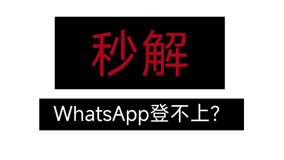 whatsapp安卓版_whatsapp安卓版_安卓版whatsapp下载