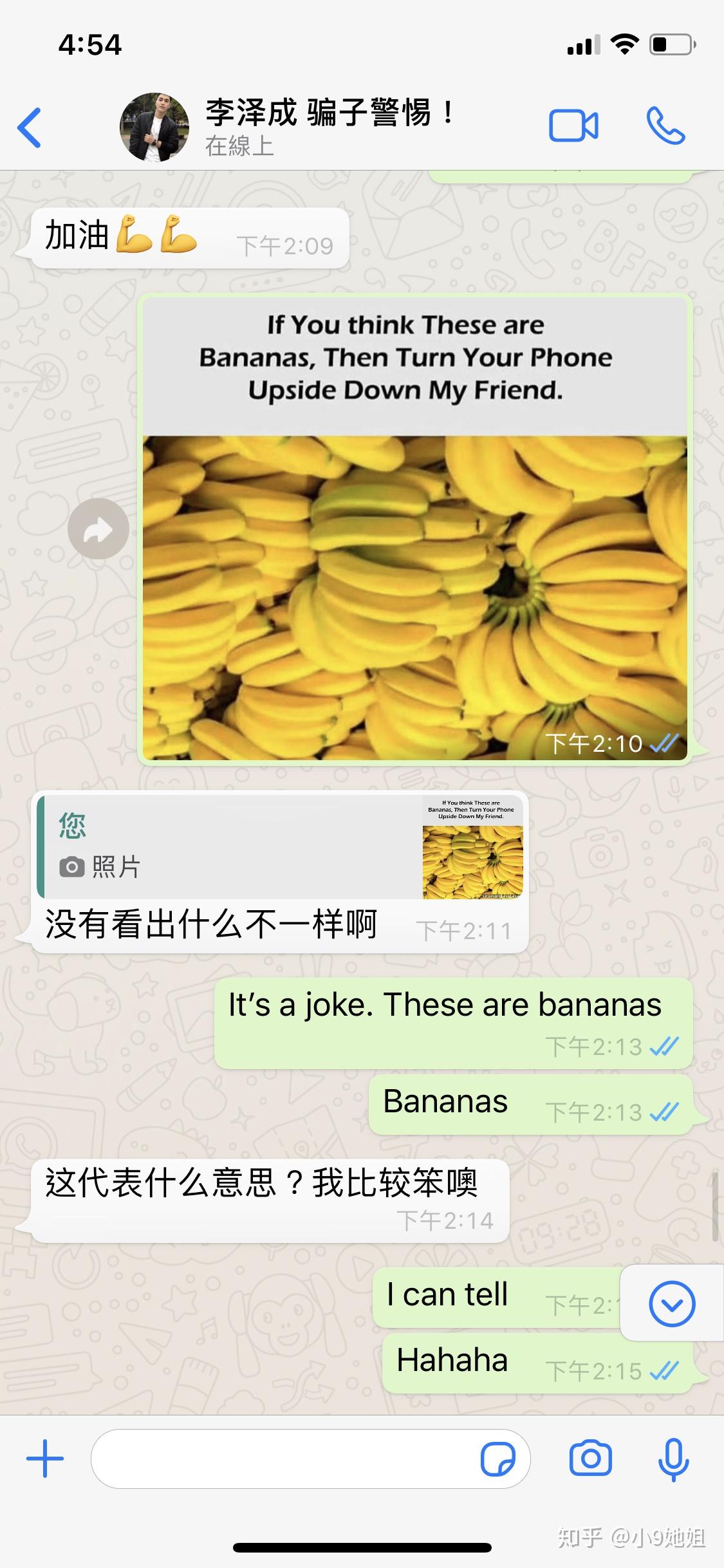 whatsapp怎么视频通话_whatsapp怎么视频通话_whatsapp怎么视频通话