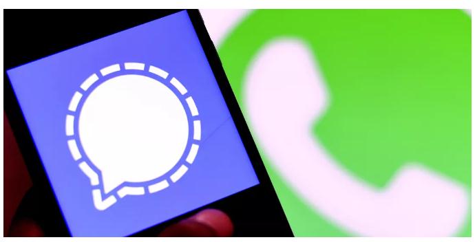 whatsapp官方正版_正版官方微信下载安装_正版官方赚钱游戏