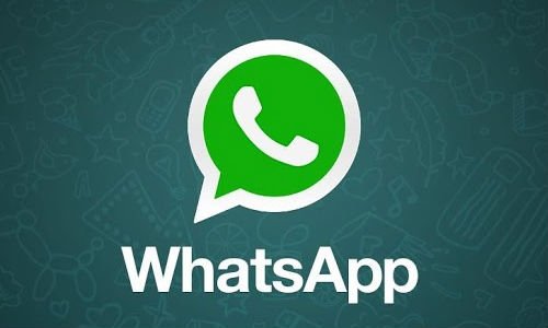 whatsapp安卓版_whatsapp安卓版_安卓版whatsapp下载