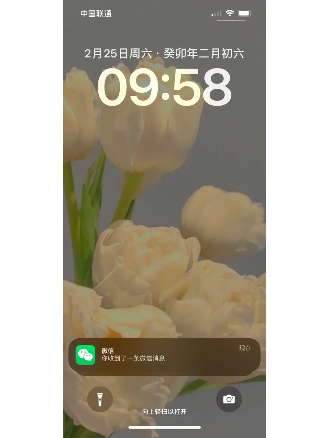 whatsapp中文最新版_中文最新版dj_中文最新版本