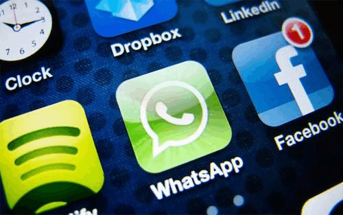 官网whatsapp下载安装_whatsapp官网版下载_樱花动漫官网下载版