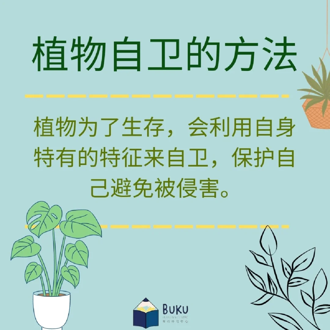 https：∥whatsapp.com/android_https：∥whatsapp.com/android_https：∥whatsapp.com/android