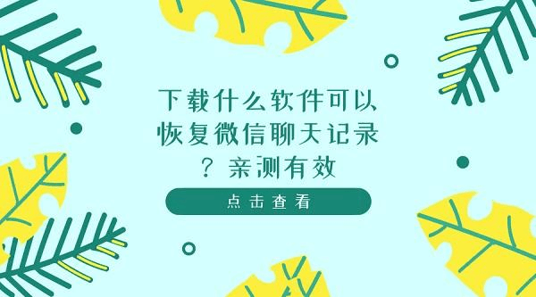 电脑上下载whatsapp_电脑whatsapp下载不了_whatsapp下载电脑版官方正版