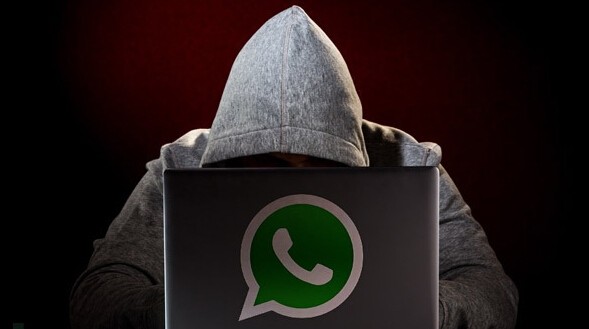 whatsapp安卓下载_whatsapp下载_whatsapp