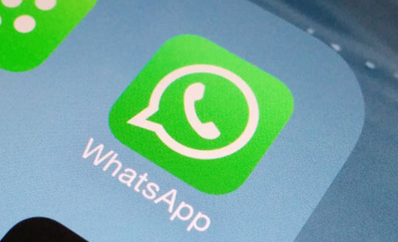 whatsapp安卓版_安卓版whatsapp下载_whatsapp安卓版