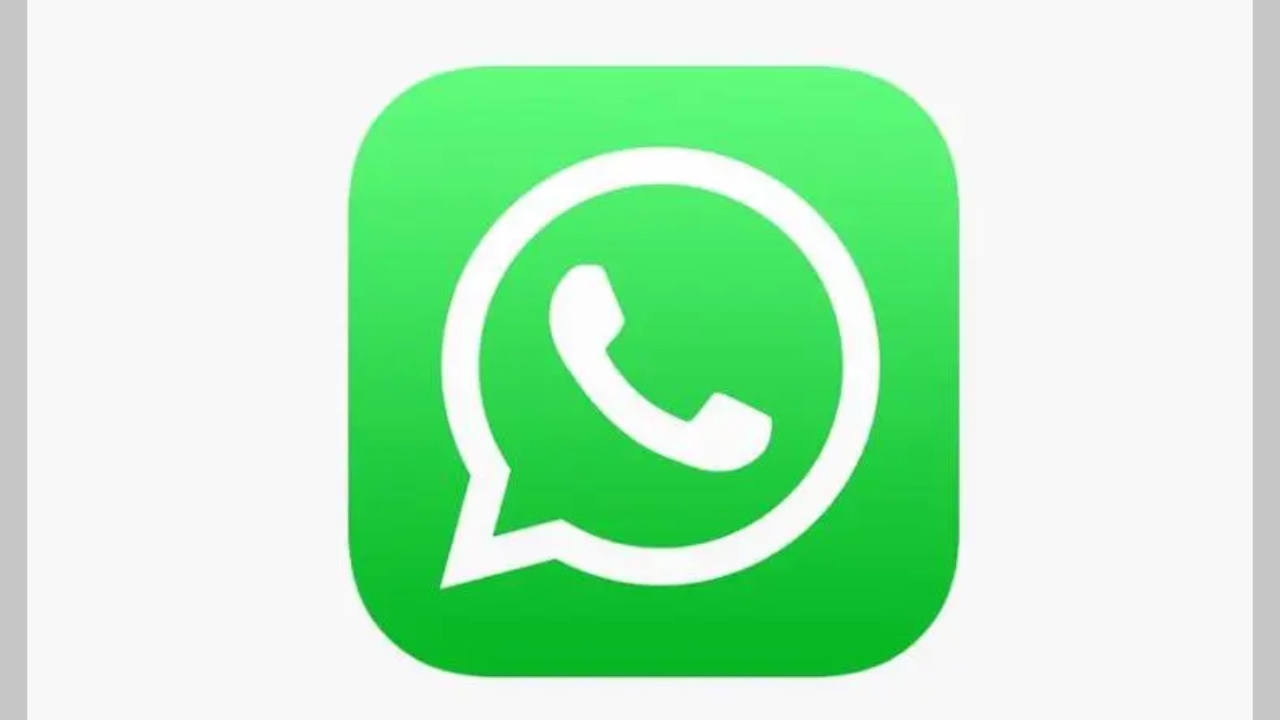 安卓版whatsapp下载_whatsapp安卓版_whatsapp安卓版