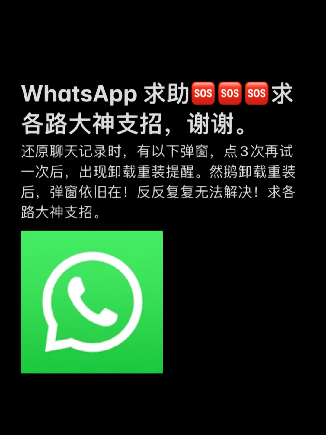 聊天软件_聊天Whatsup_whatsapp如何聊天