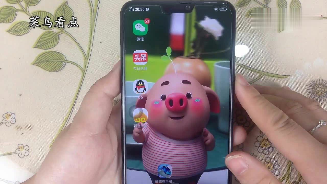whatsapp安卓下载_安卓下载whatsapp教程_安卓下载whatsapo